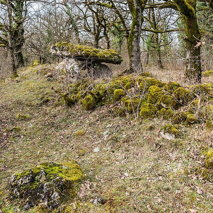 Photo de Site archéologique du dolmen de Seveyrac ou de Perignagol II