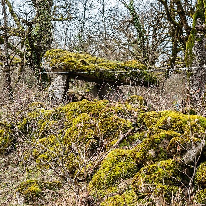 Photo de Site archéologique du dolmen de Seveyrac ou de Perignagol II