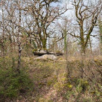 Site archéologique du dolmen de Seveyrac ou de Perignagol II
