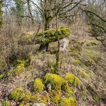 Site archéologique du dolmen de Seveyrac ou de Perignagol II