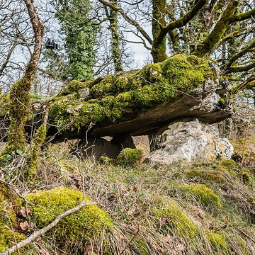 Site archéologique du dolmen de Seveyrac ou de Perignagol II