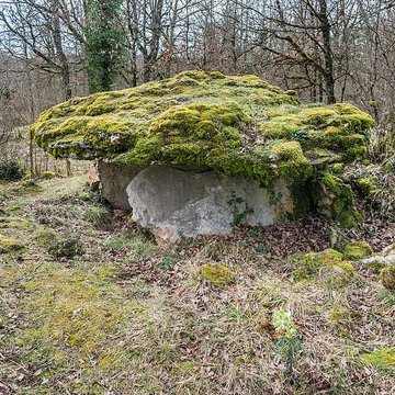 Site archéologique du dolmen de Seveyrac ou de Perignagol II