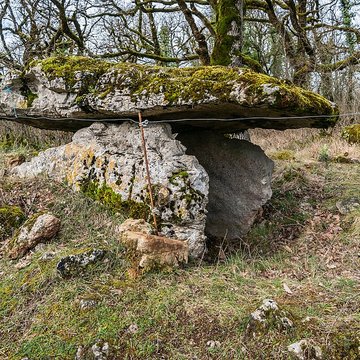 Site archéologique du dolmen de Seveyrac ou de Perignagol II