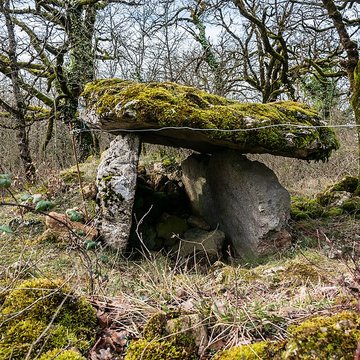 Site archéologique du dolmen de Seveyrac ou de Perignagol II