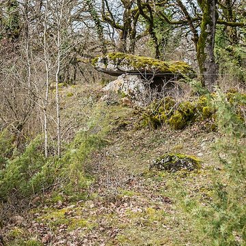 Site archéologique du dolmen de Seveyrac ou de Perignagol II