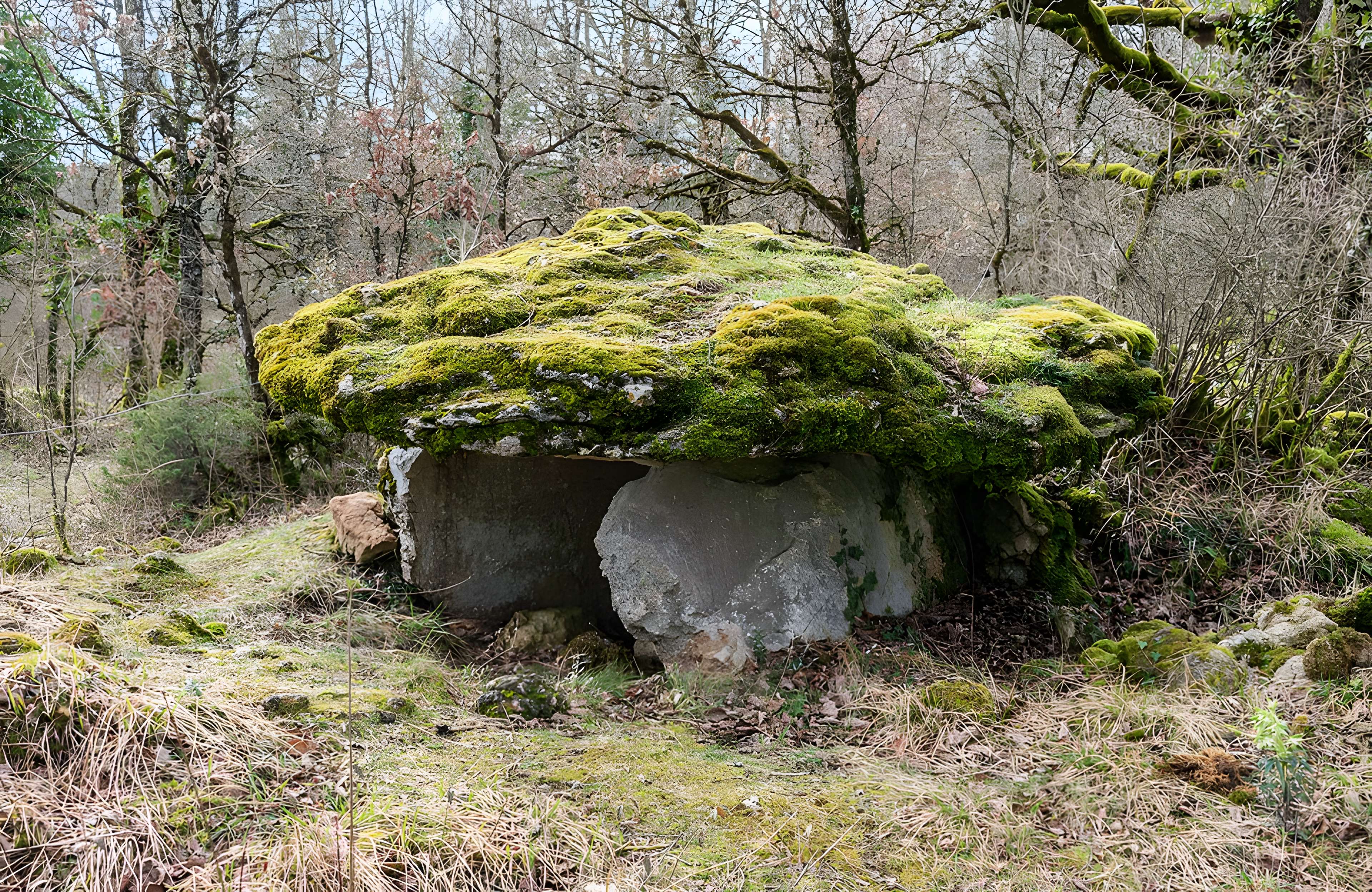 Site archéologique du dolmen de Seveyrac ou de Perignagol II