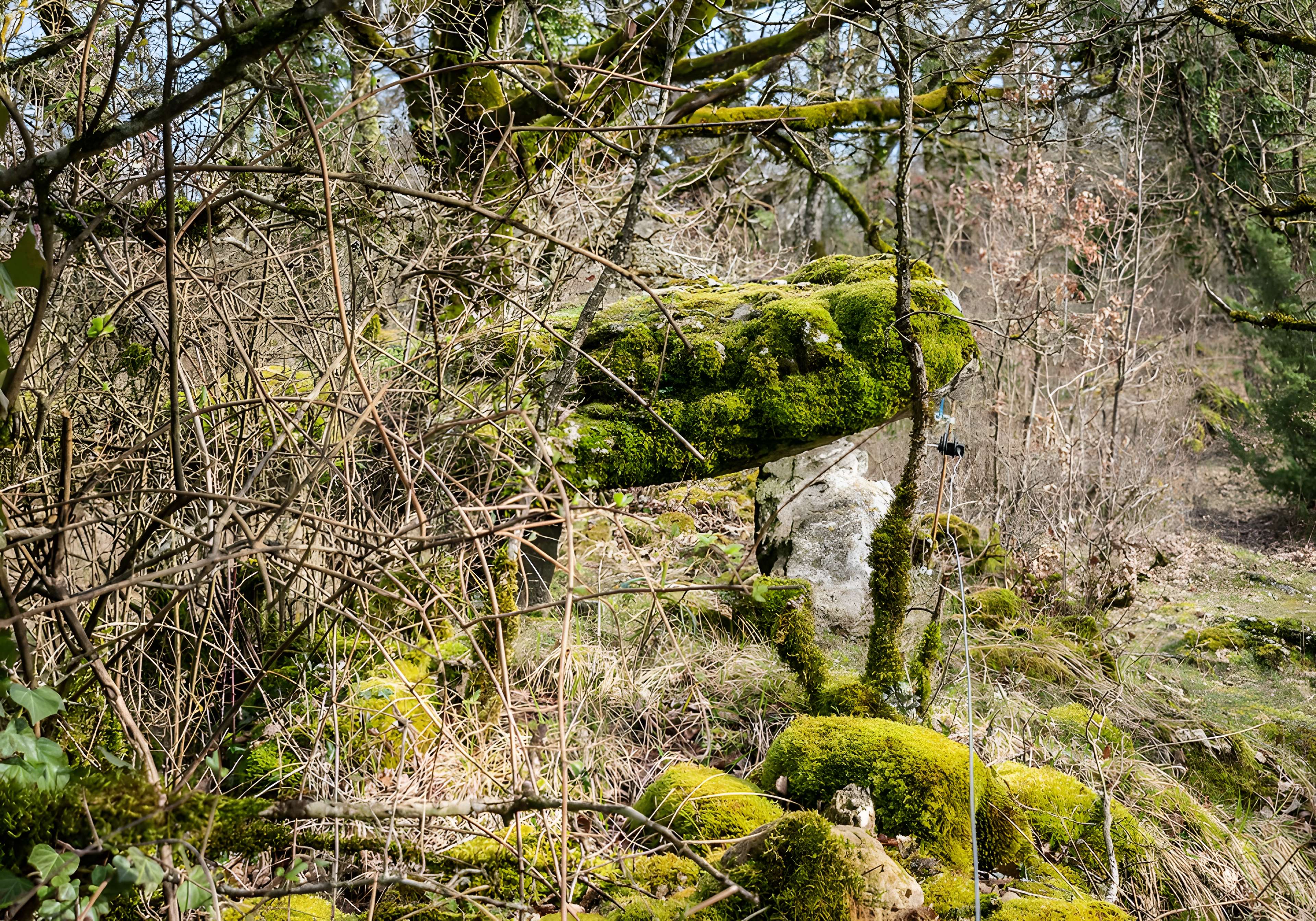 Site archéologique du dolmen de Seveyrac ou de Perignagol II