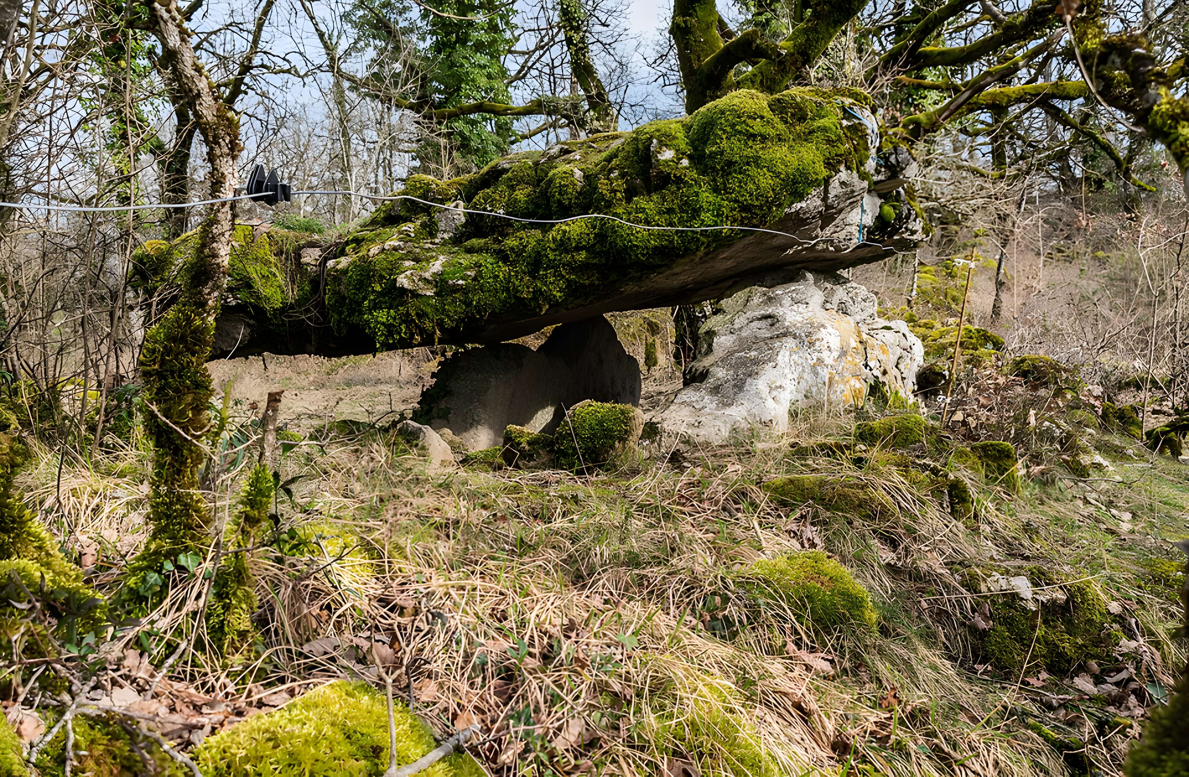 Site archéologique du dolmen de Seveyrac ou de Perignagol II
