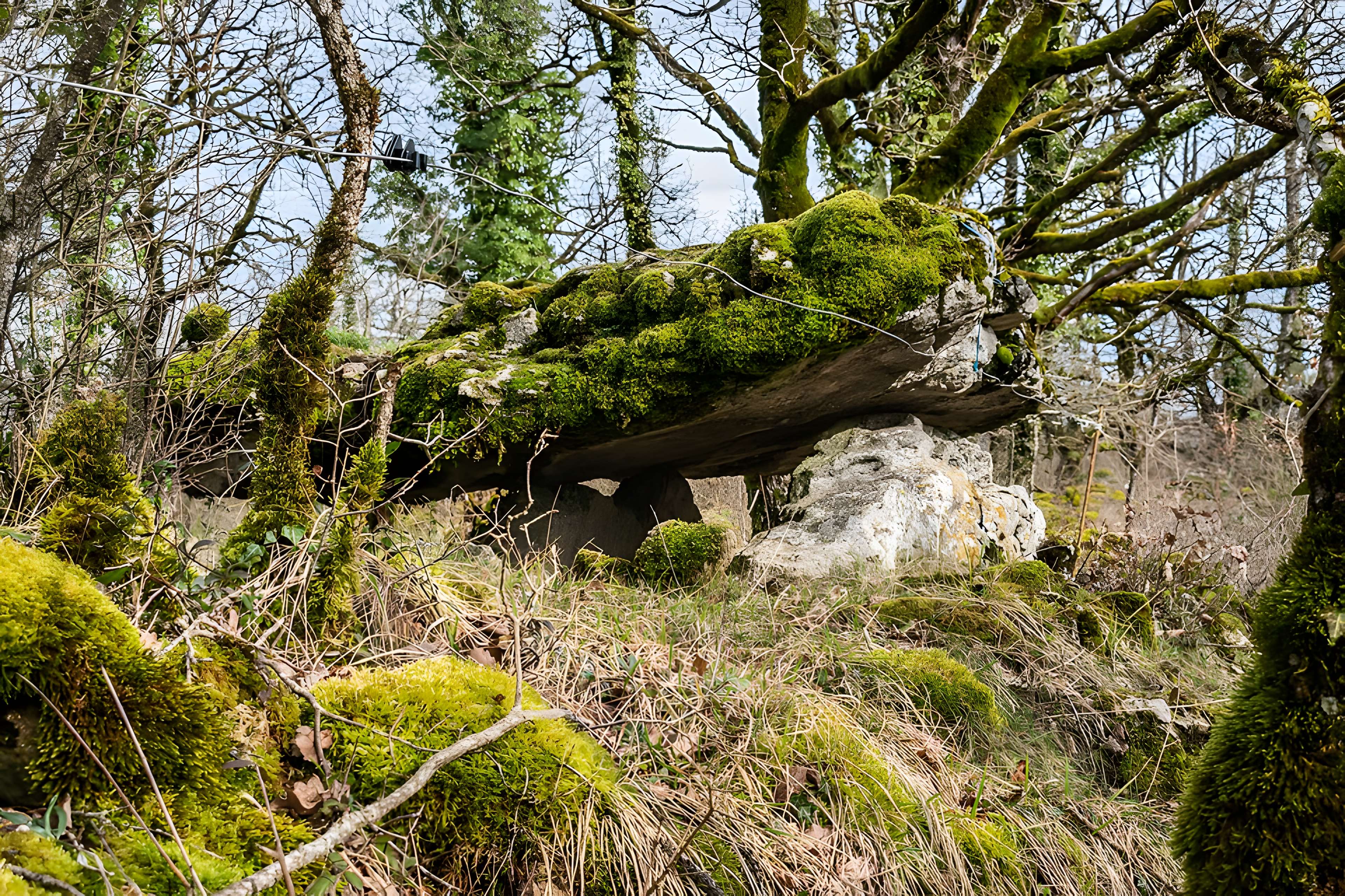 Site archéologique du dolmen de Seveyrac ou de Perignagol II