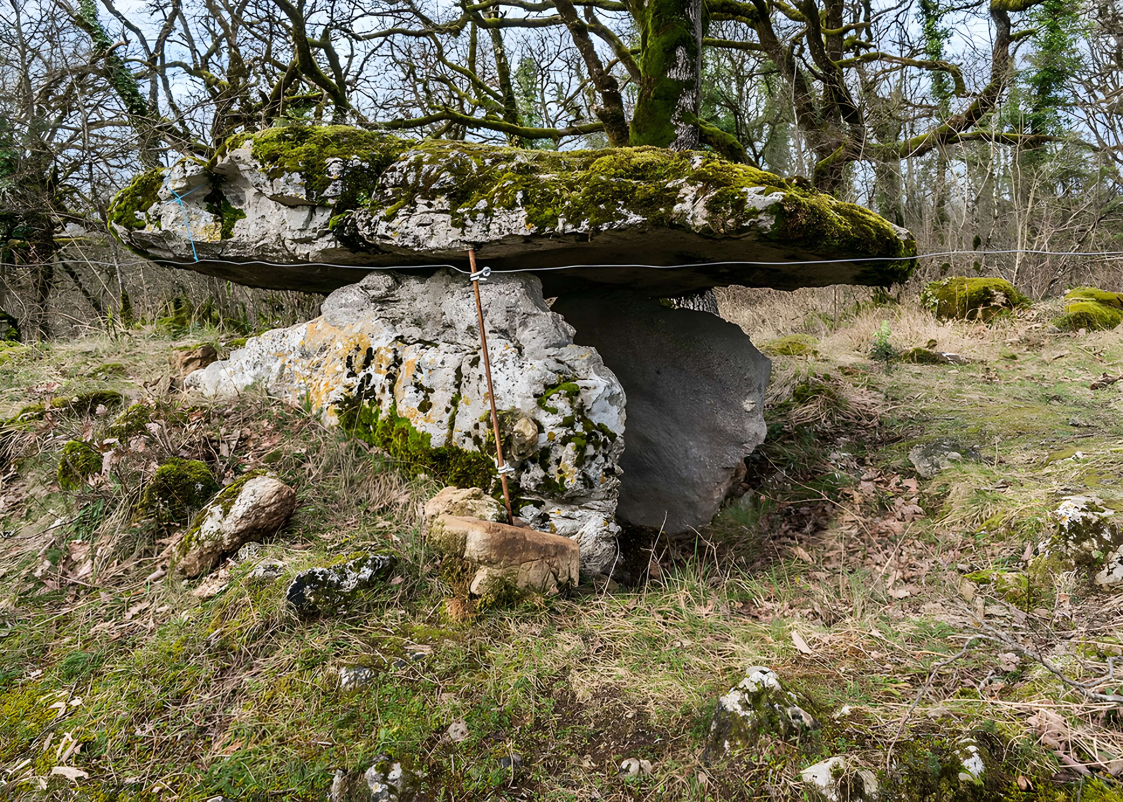 Site archéologique du dolmen de Seveyrac ou de Perignagol II