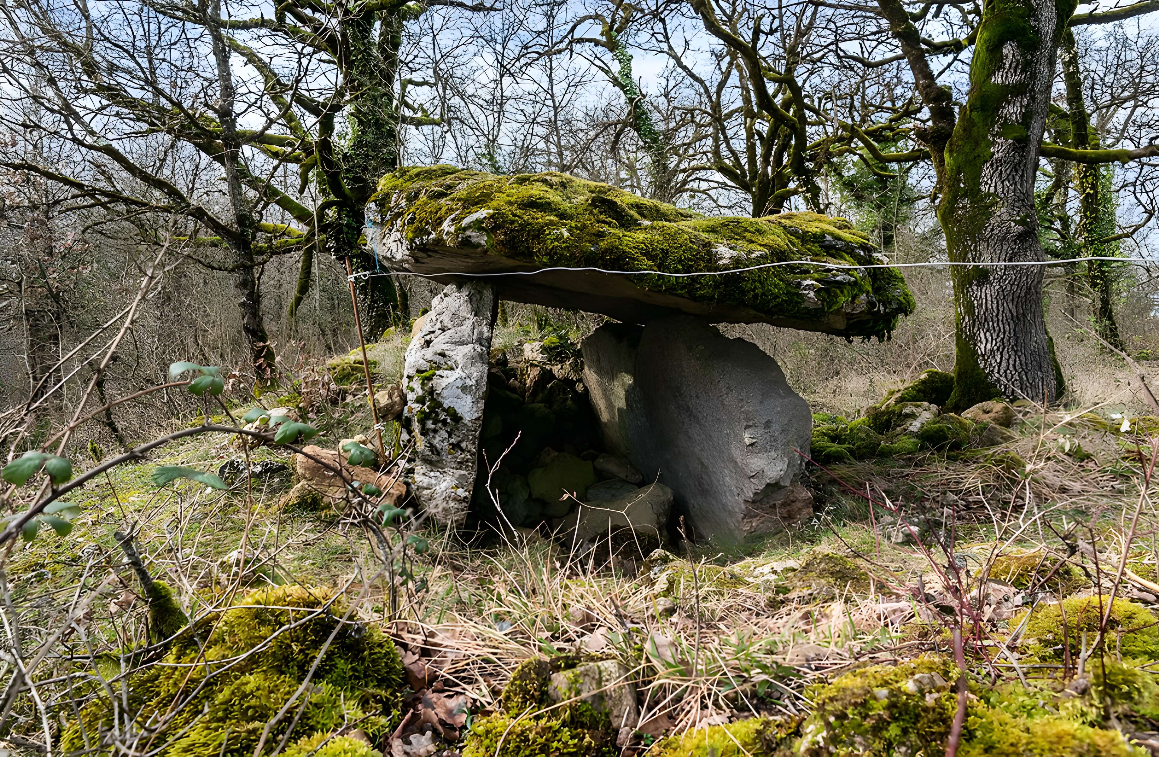 Site archéologique du dolmen de Seveyrac ou de Perignagol II