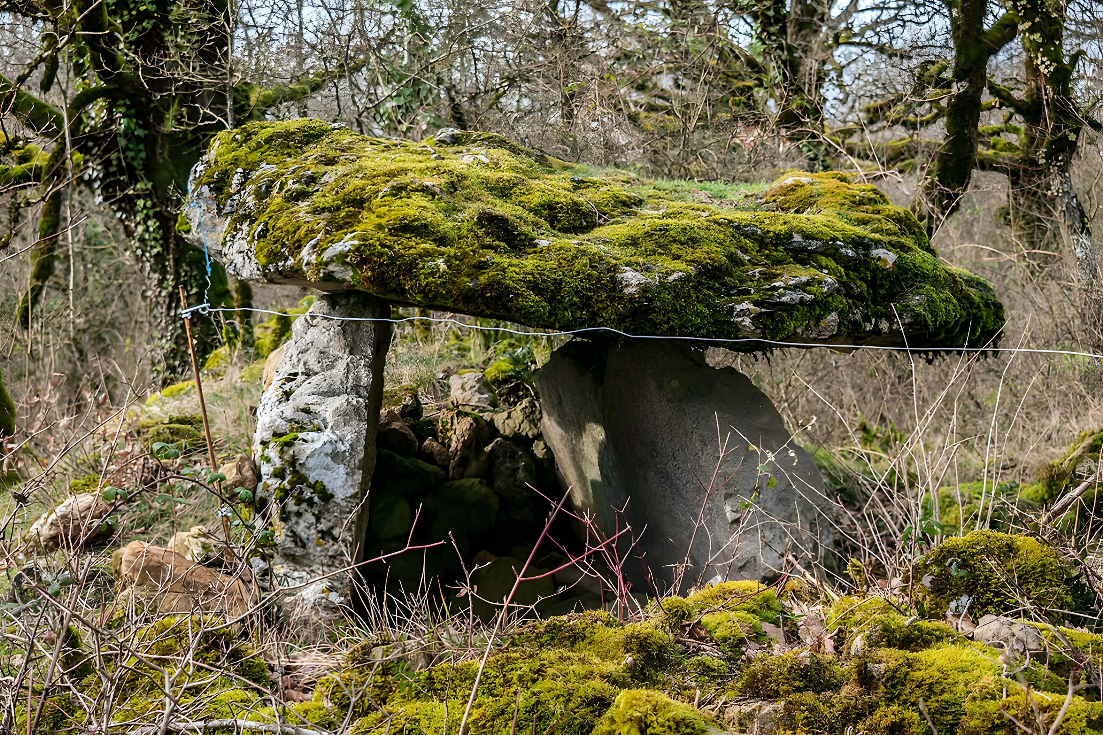 Site archéologique du dolmen de Seveyrac ou de Perignagol II