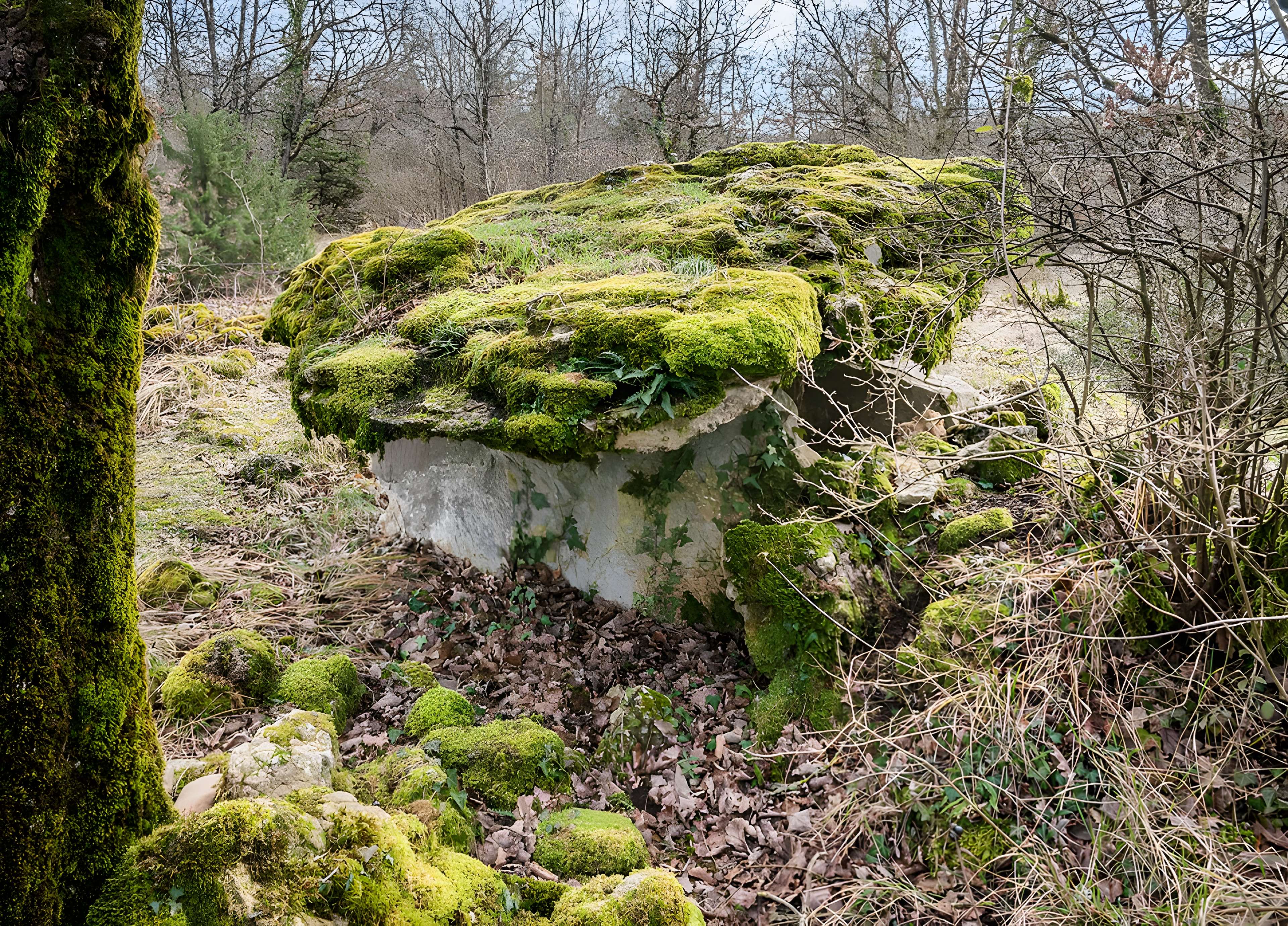 Site archéologique du dolmen de Seveyrac ou de Perignagol II