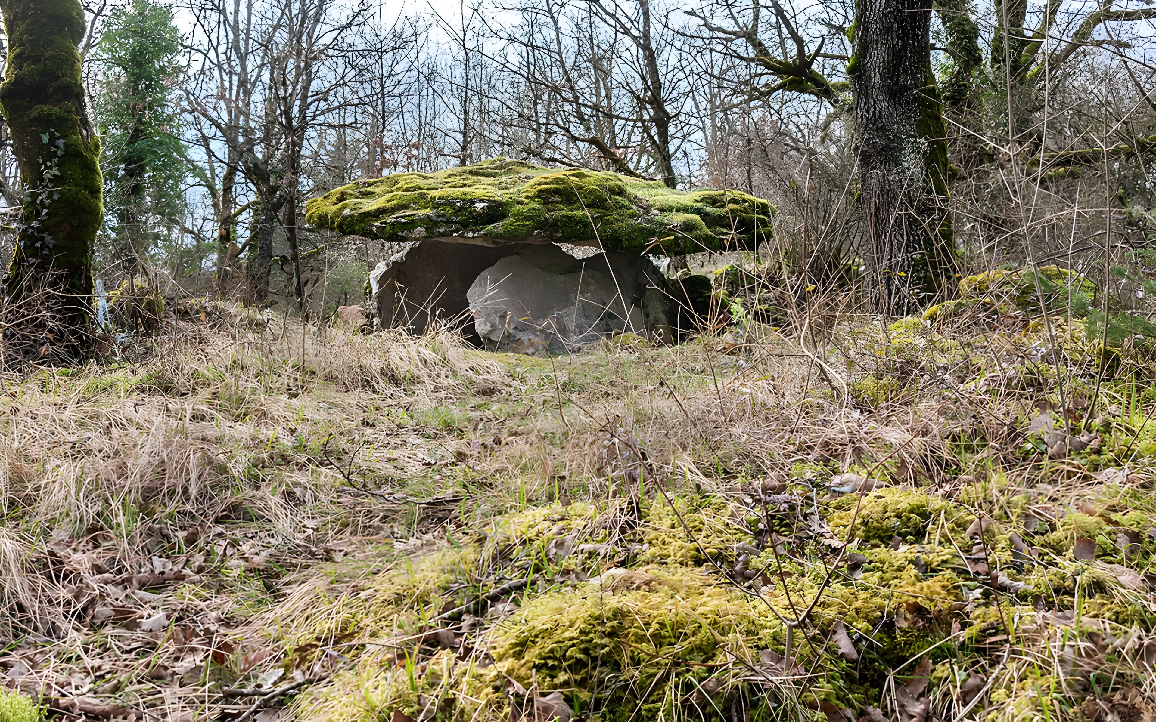 Site archéologique du dolmen de Seveyrac ou de Perignagol II