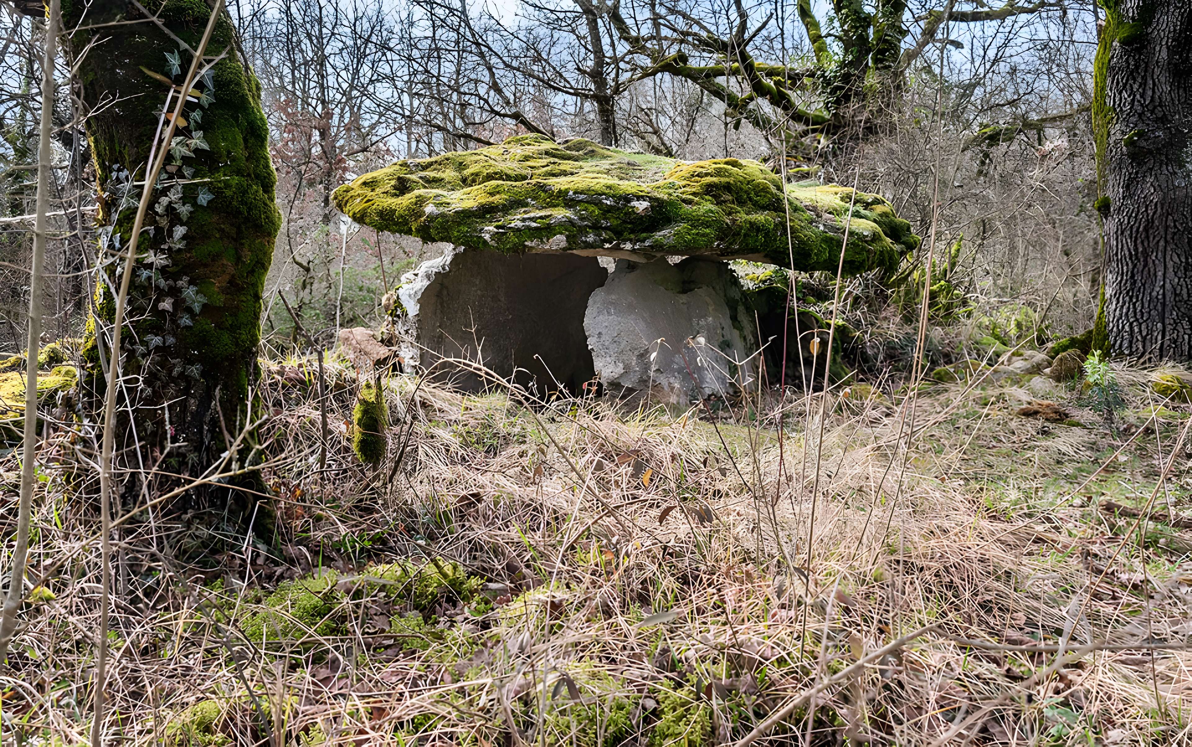 Site archéologique du dolmen de Seveyrac ou de Perignagol II