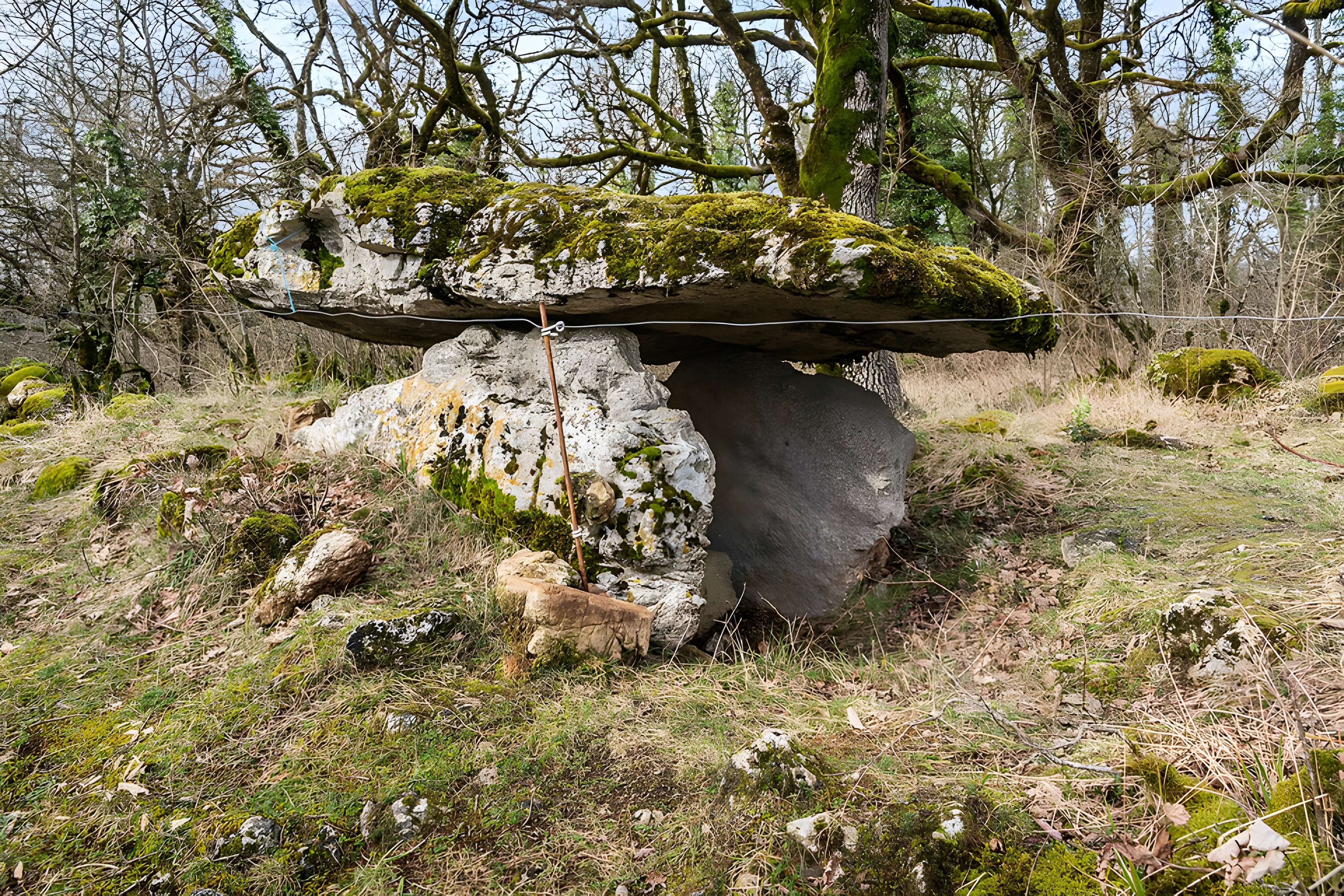 Site archéologique du dolmen de Seveyrac ou de Perignagol II