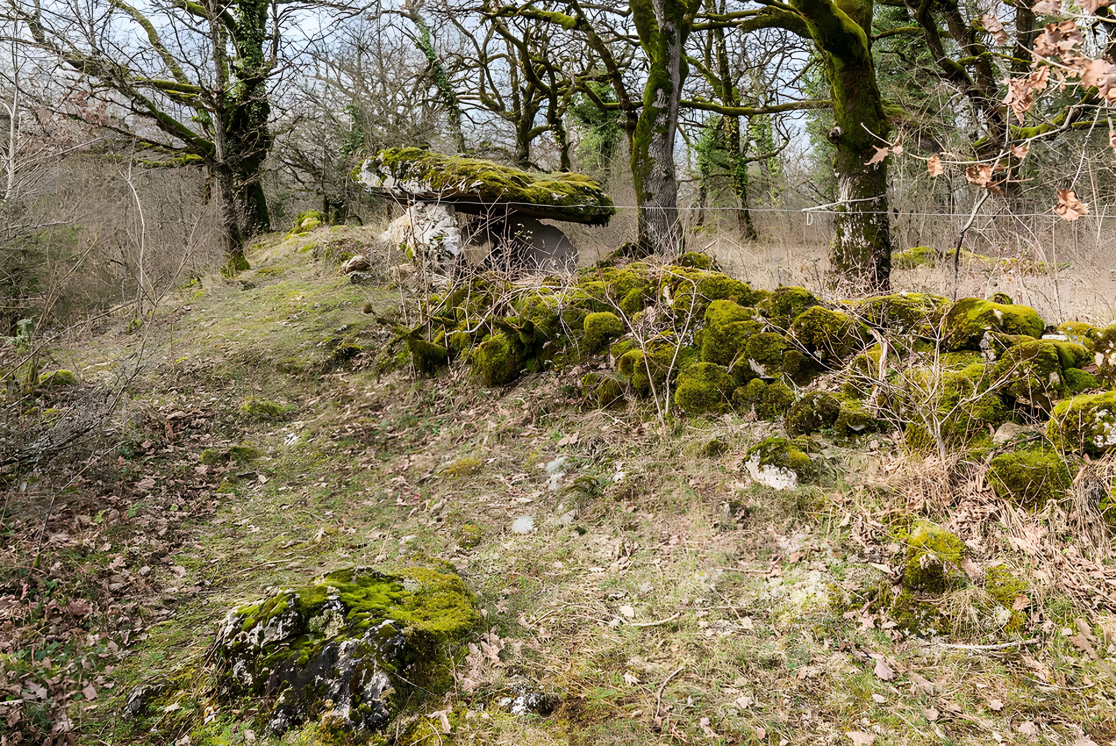 Site archéologique du dolmen de Seveyrac ou de Perignagol II