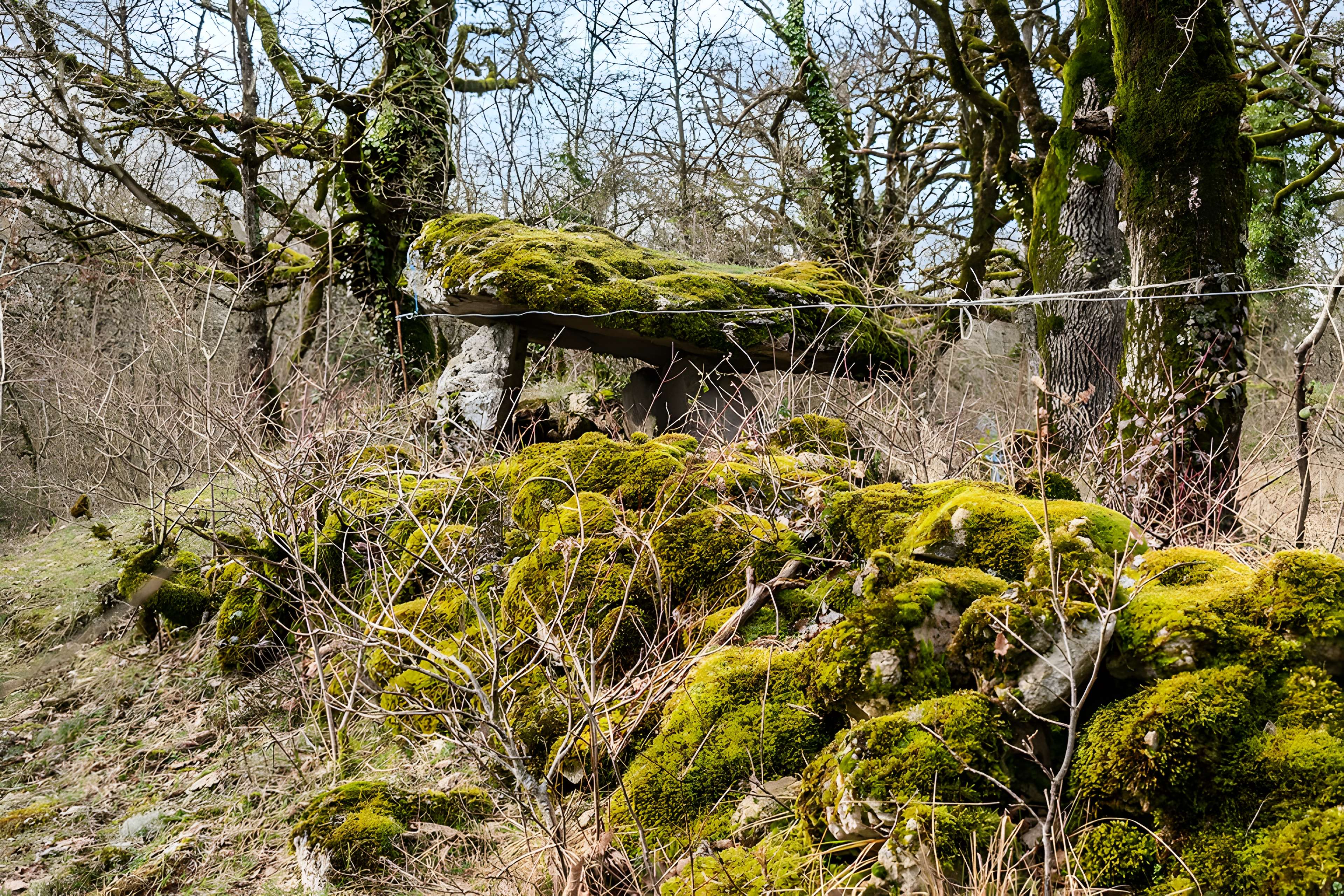 Site archéologique du dolmen de Seveyrac ou de Perignagol II