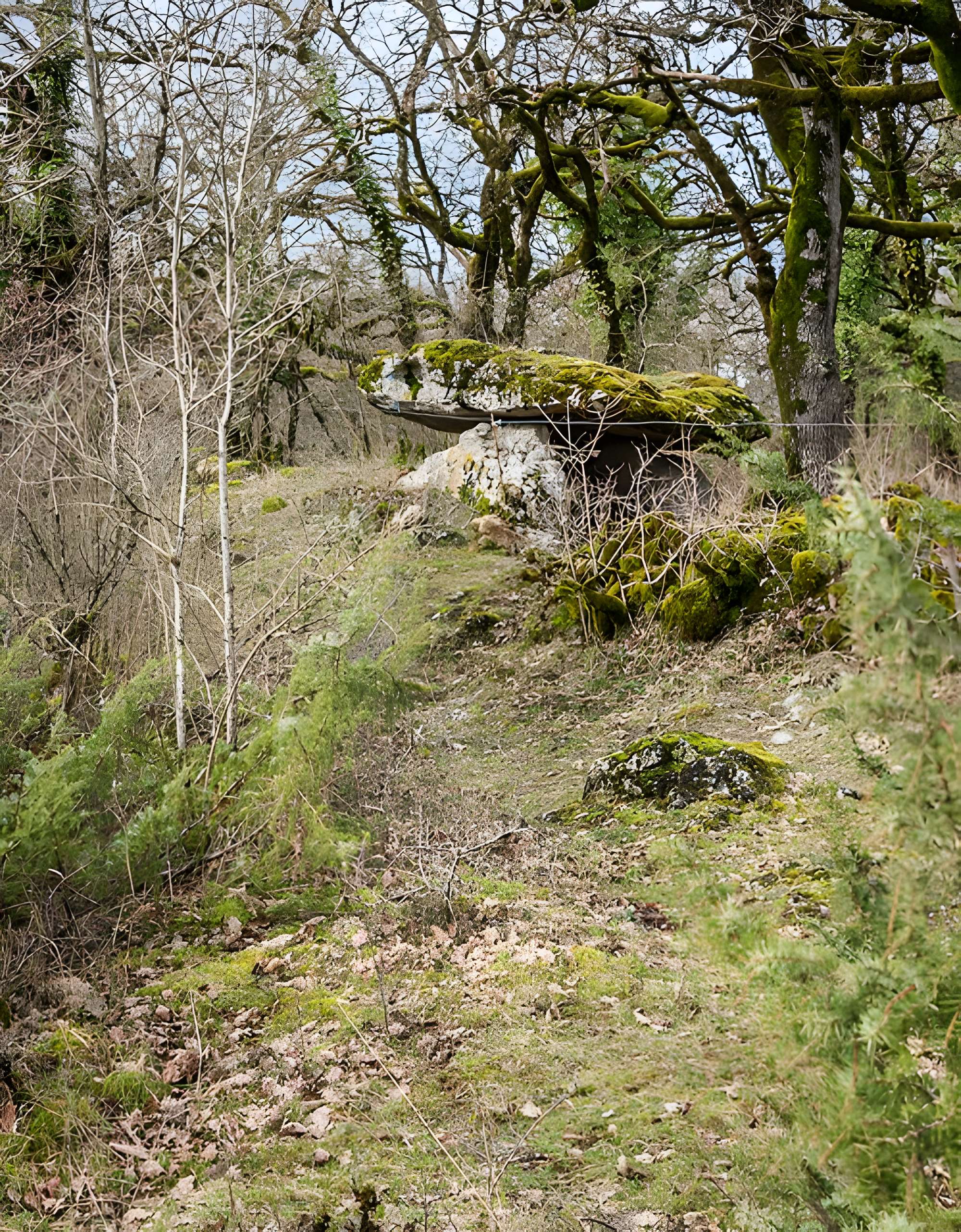 Site archéologique du dolmen de Seveyrac ou de Perignagol II