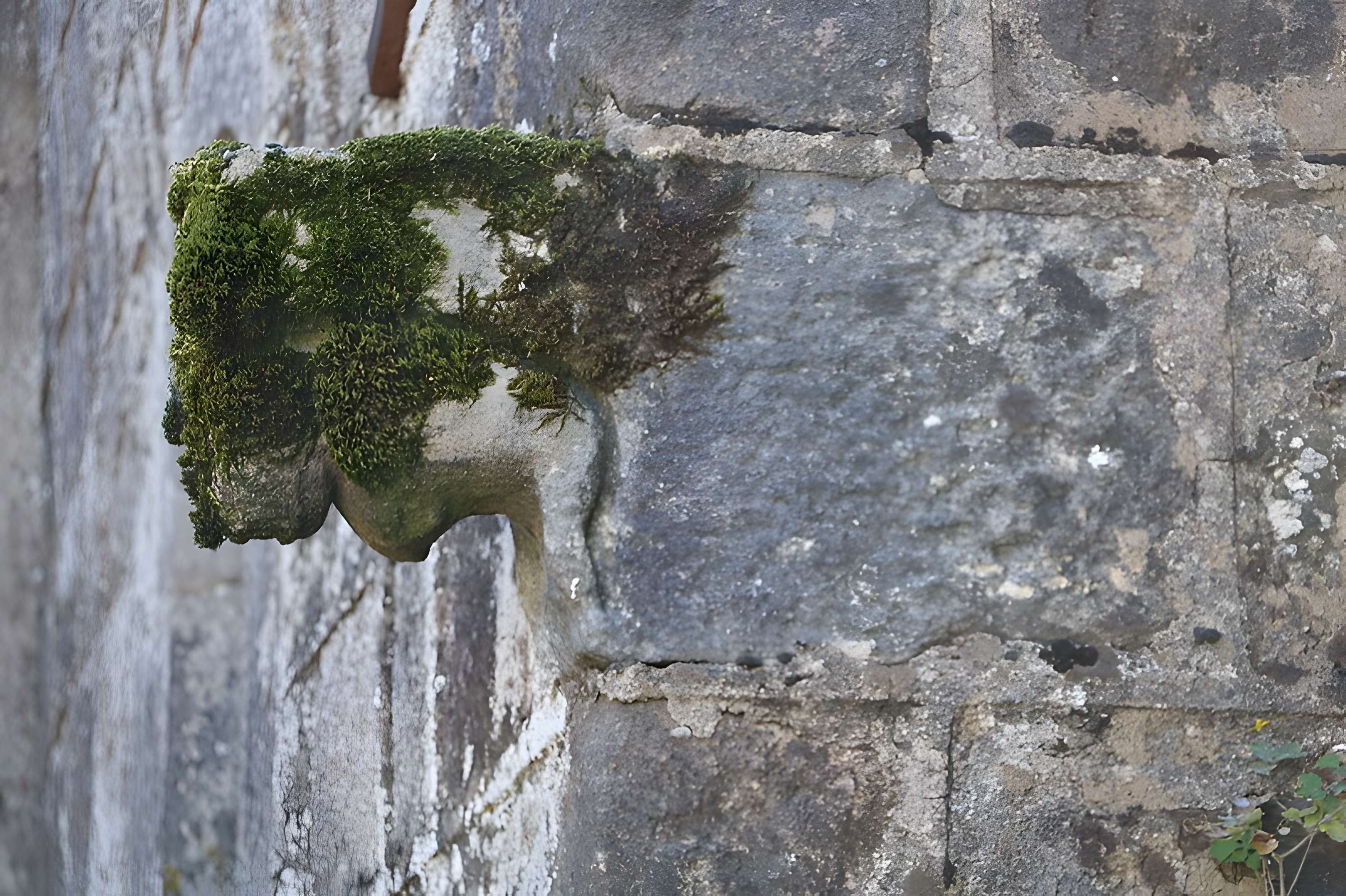 Eglise de Saint-Etienne de Viauresque