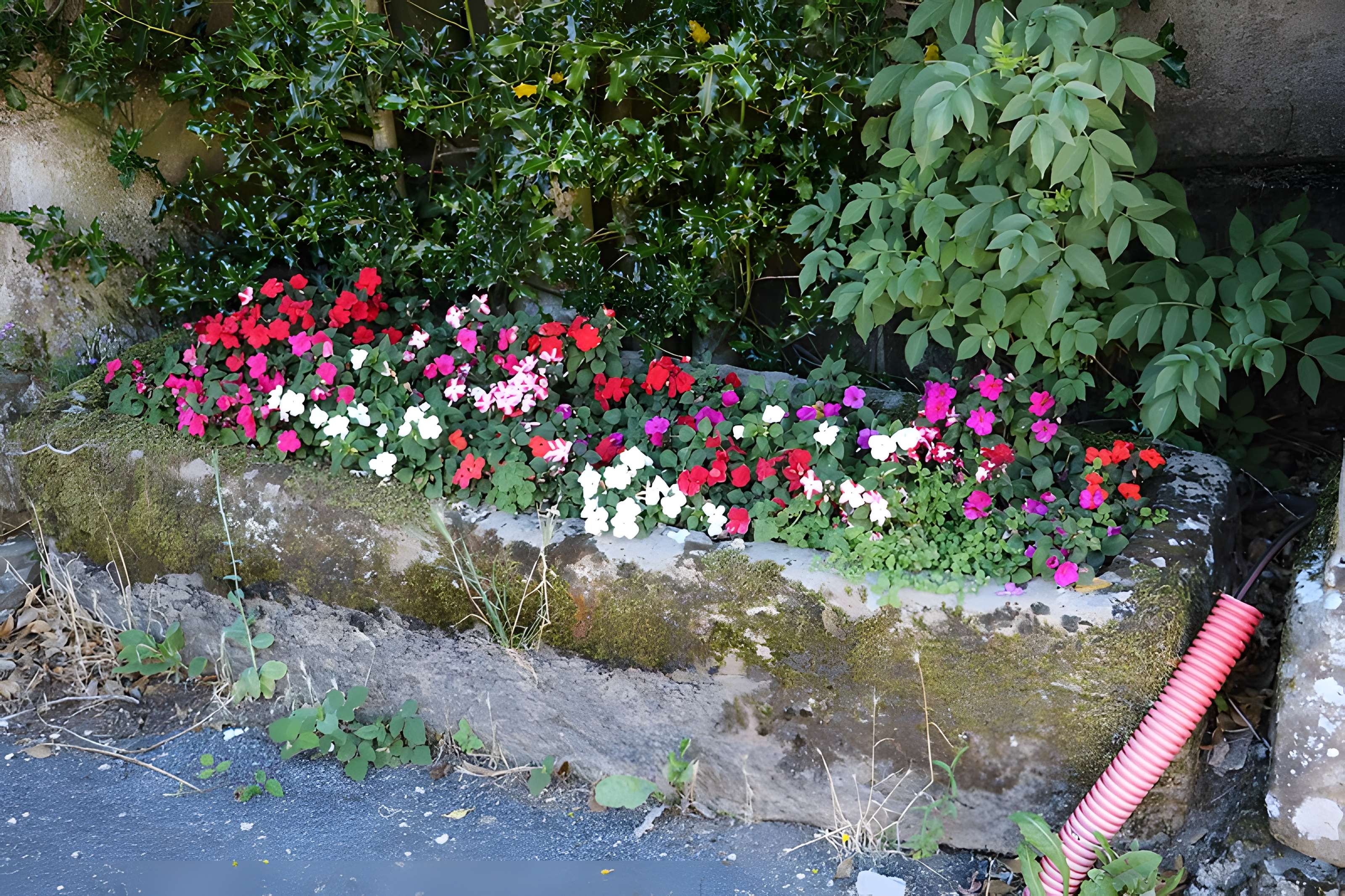 Eglise de Saint-Etienne de Viauresque