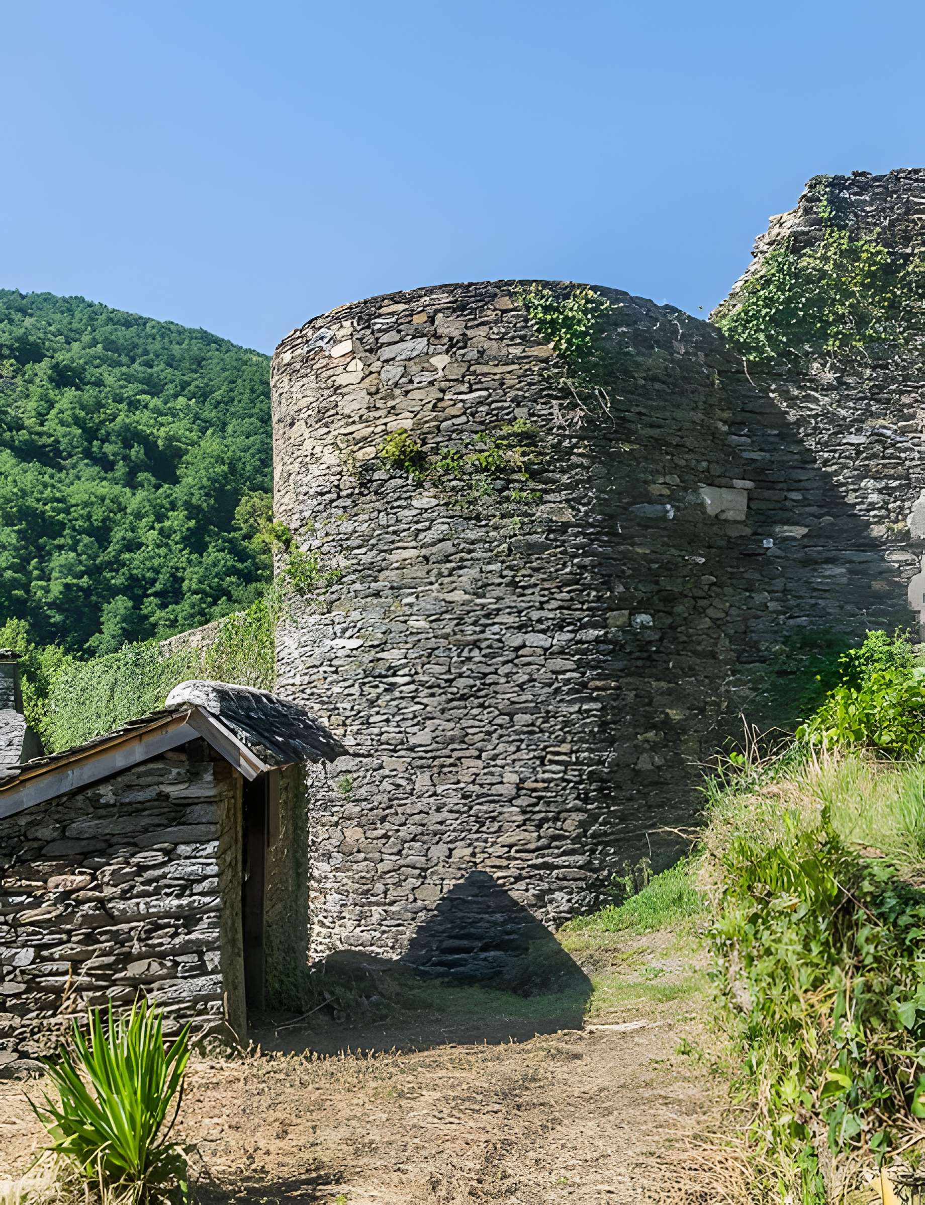Château de Montarnal
