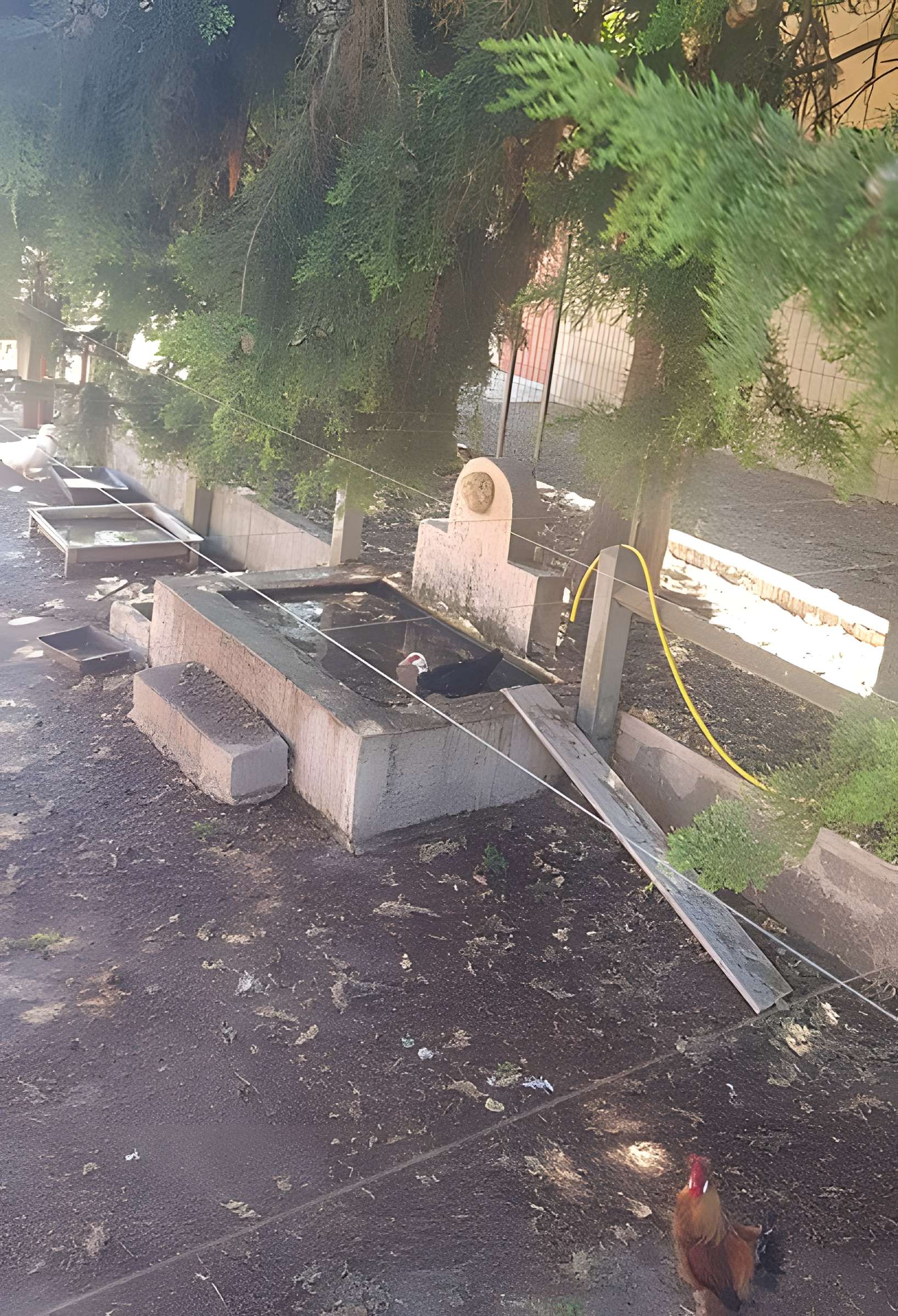 Bastide de Romégas, à Puyricard