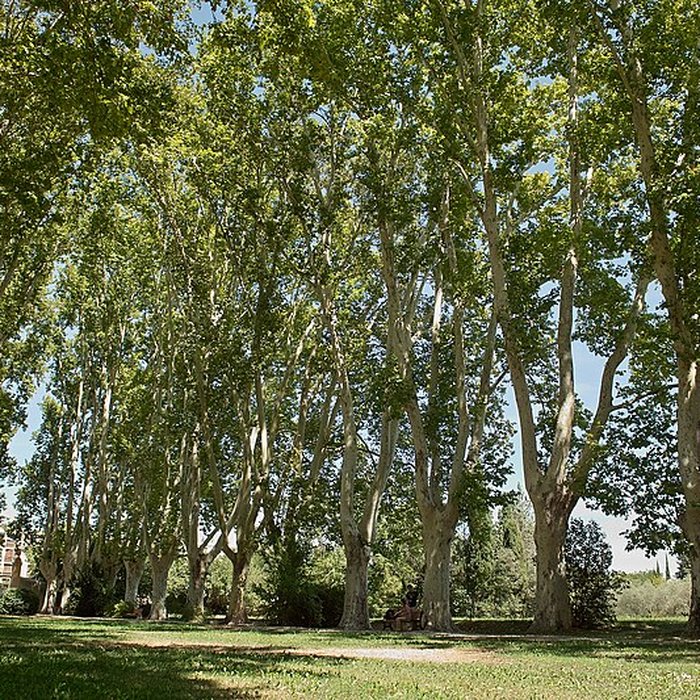 Photo de Bastide du Jas de Bouffan, dénommée aussi propriété Granel-Corsy du Jas de Bouffan