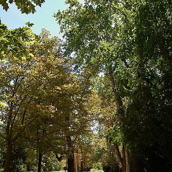 Photo de Bastide du Jas de Bouffan, dénommée aussi propriété Granel-Corsy du Jas de Bouffan