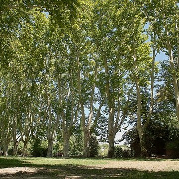 Bastide du Jas de Bouffan, dénommée aussi propriété Granel-Corsy du Jas de Bouffan