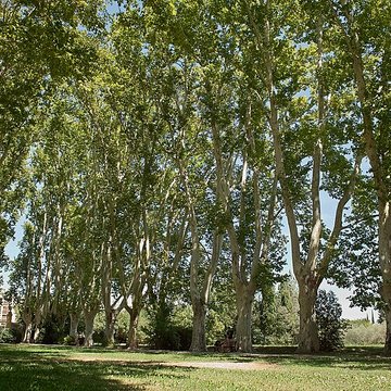 Bastide du Jas de Bouffan, dénommée aussi propriété Granel-Corsy du Jas de Bouffan