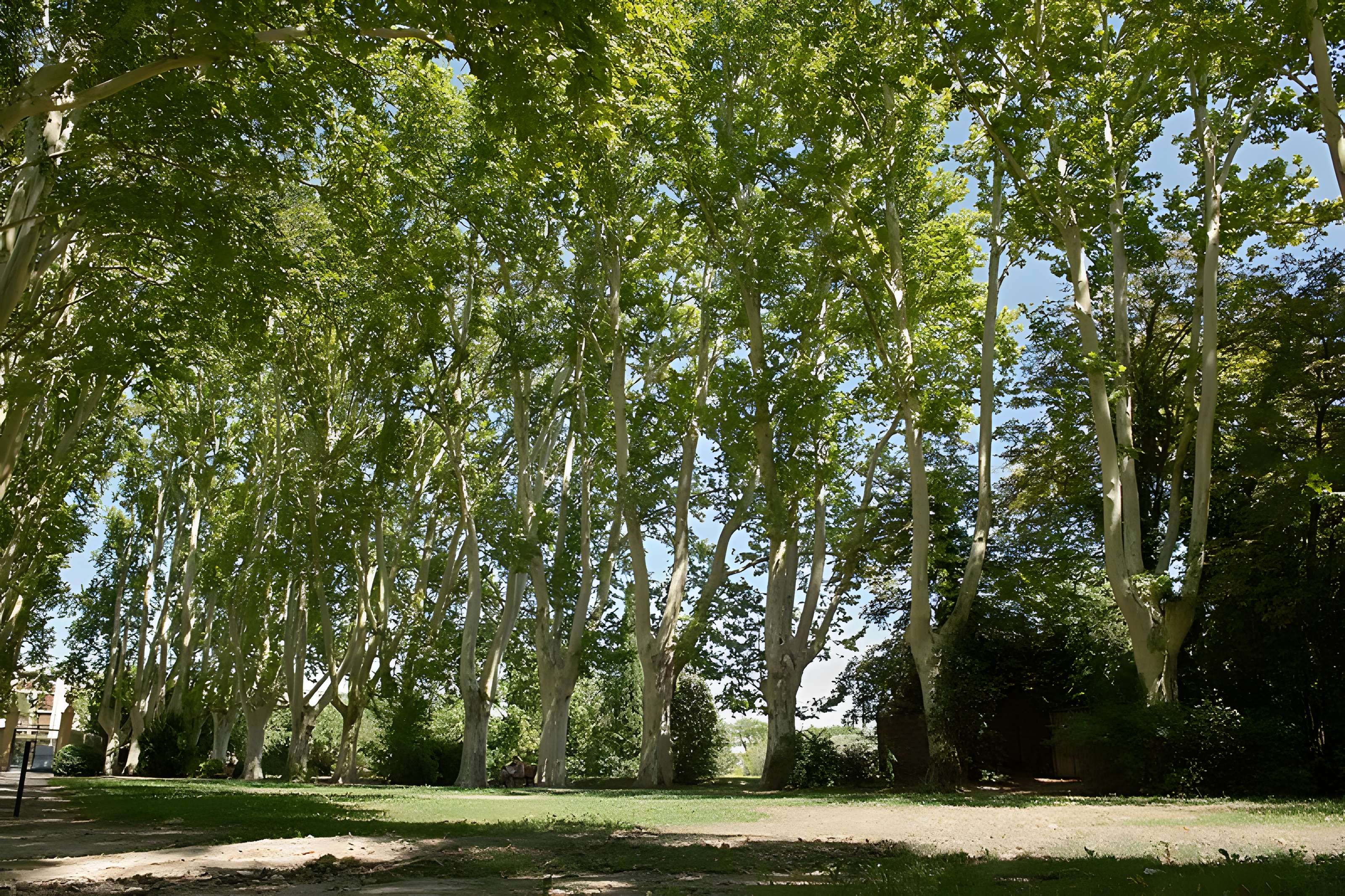 Bastide du Jas de Bouffan, dénommée aussi propriété Granel-Corsy du Jas de Bouffan