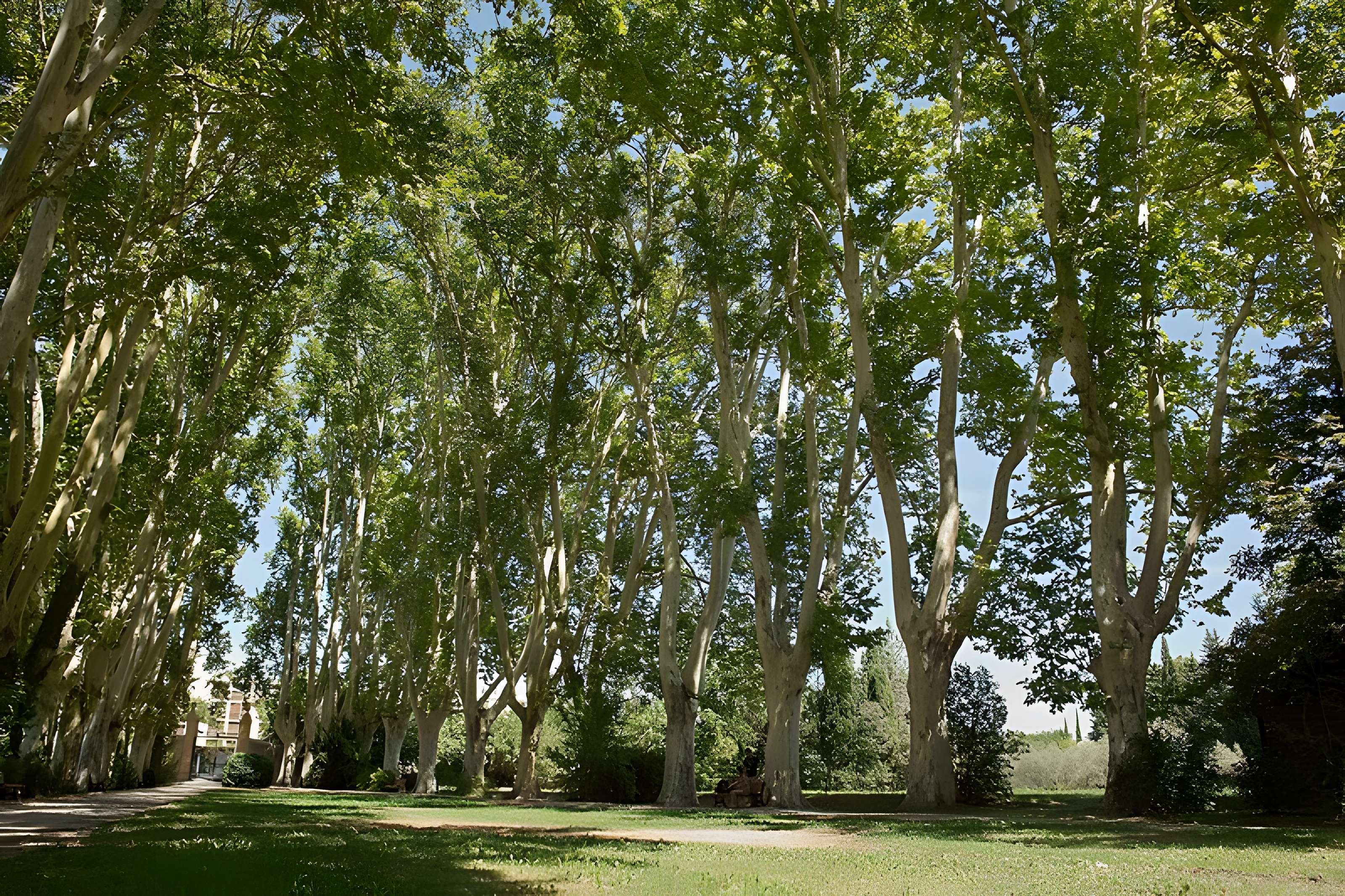 Bastide du Jas de Bouffan, dénommée aussi propriété Granel-Corsy du Jas de Bouffan
