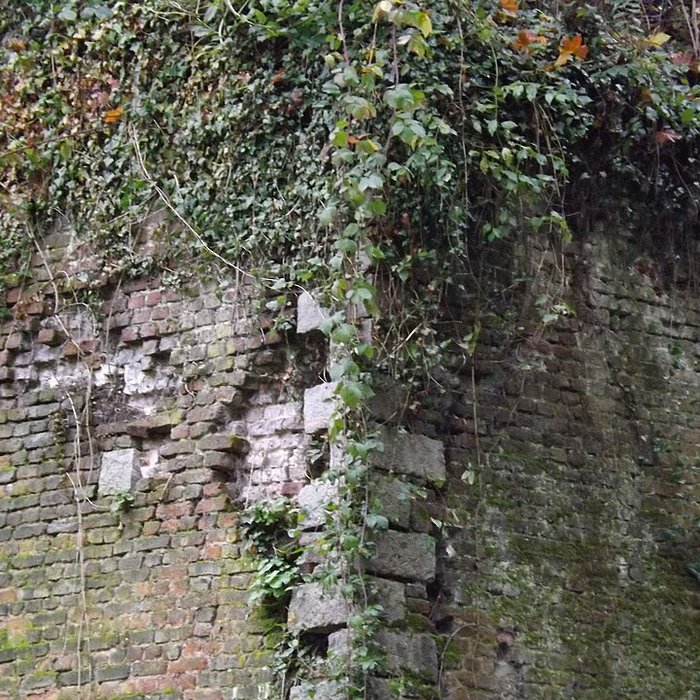 Photo de Citadelle de Lille