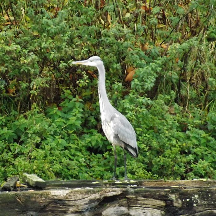 Photo de Citadelle de Lille