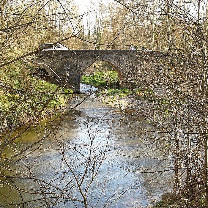Photo de Pont franchissant lArc dit Pont de Saint-Pons