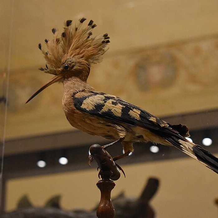Photo de Ancien collège des Jésuites et ancien hôtel de Laval-Castellane, actuellement musée dart chrétien et Museon Arlaten