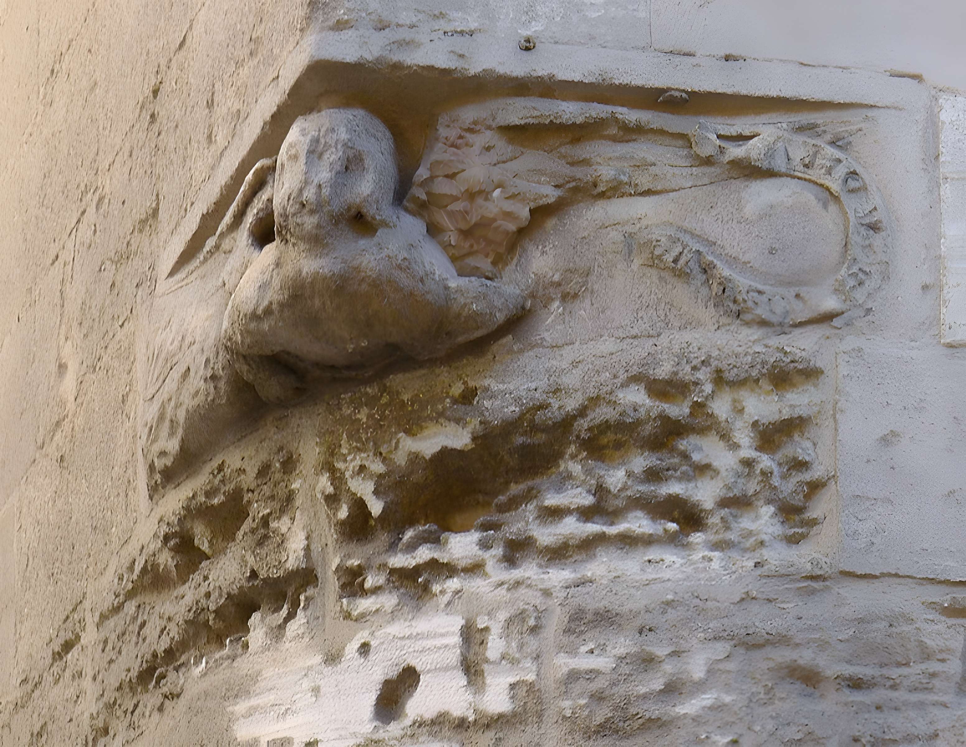 Ancien collège des Jésuites et ancien hôtel de Laval-Castellane, actuellement musée d'art chrétien et Museon Arlaten
