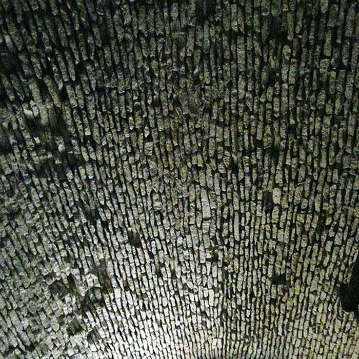 Photo de Citadelle gallo-romaine de Vésone à Périgueux