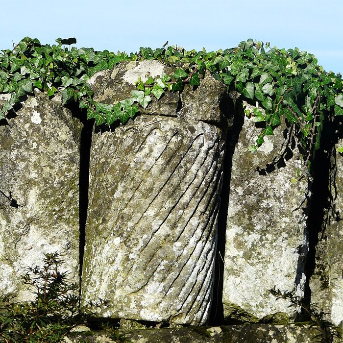 Photo de Citadelle gallo-romaine de Vésone à Périgueux