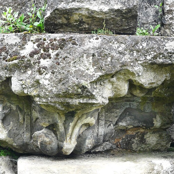 Photo de Citadelle gallo-romaine de Vésone à Périgueux