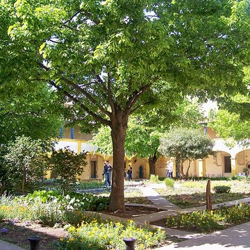 Hospices