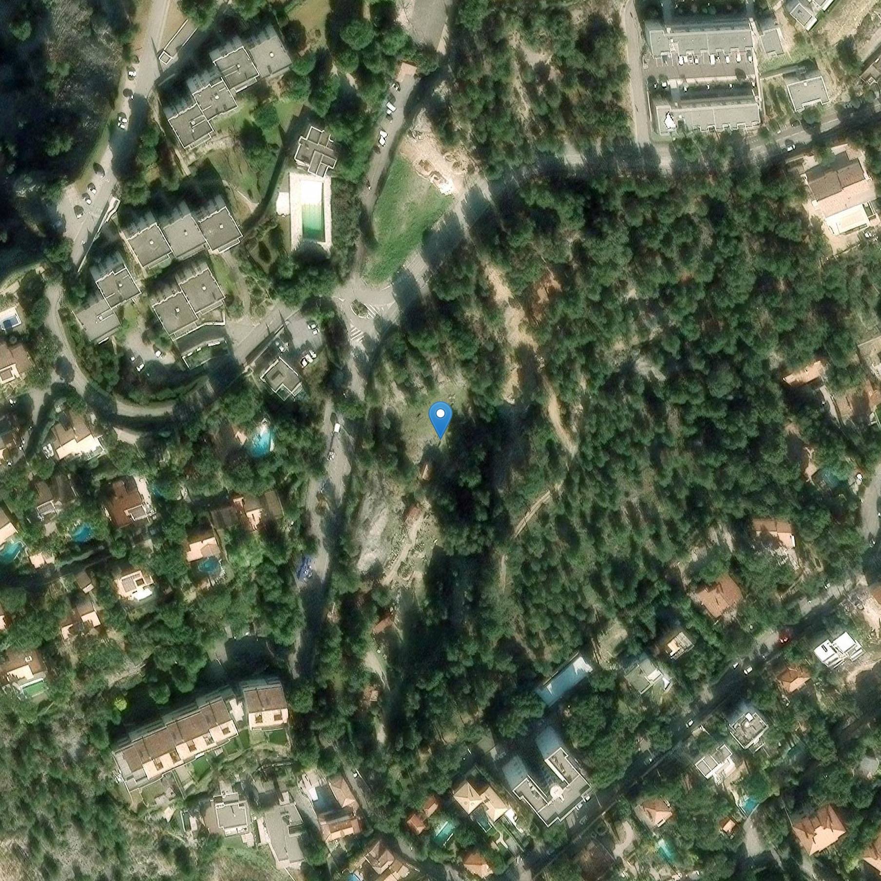 Photo de Gambi o Picouveau Career