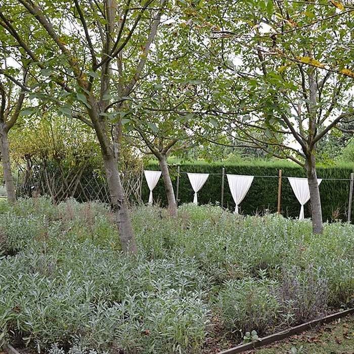 Photo de Manoir Renaissance dit Mas de la Brune