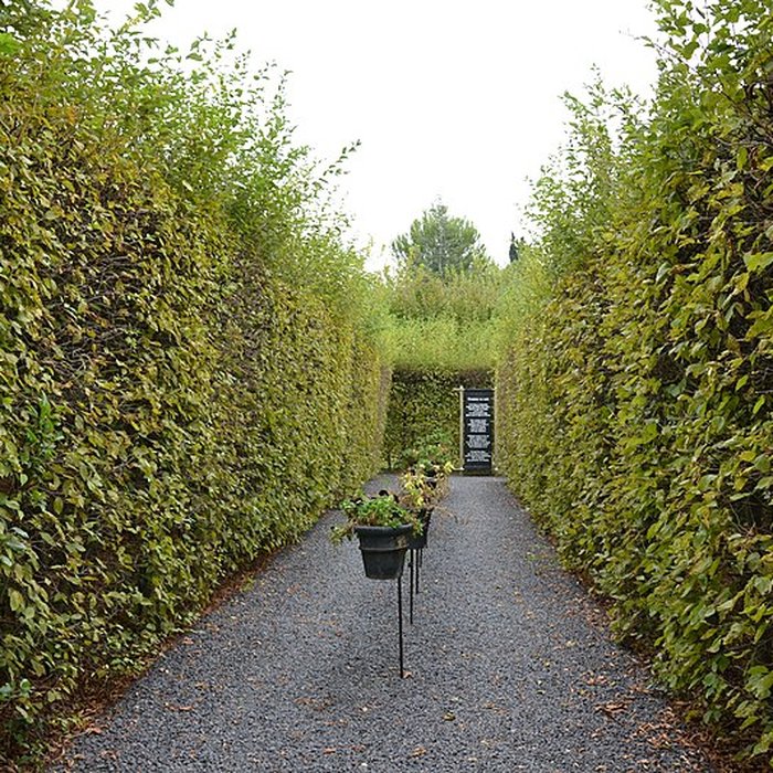 Photo de Manoir Renaissance dit Mas de la Brune