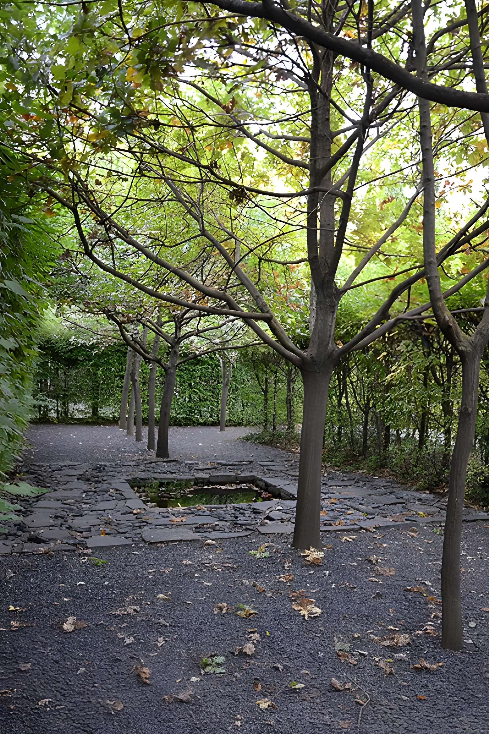 Manoir Renaissance dit Mas de la Brune