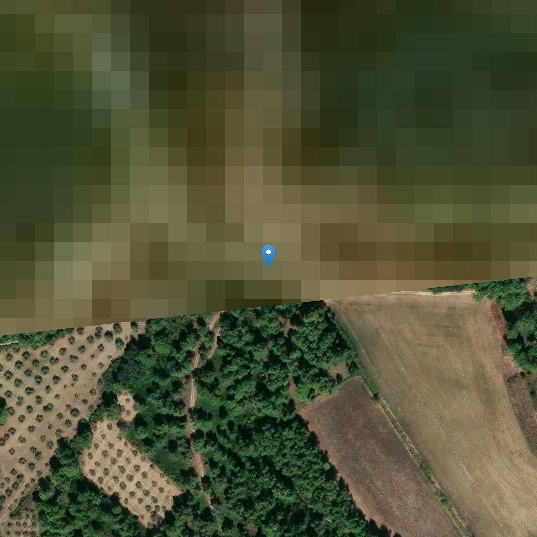 Photo de Bas-relief, dans la propriété de M. Degioanni