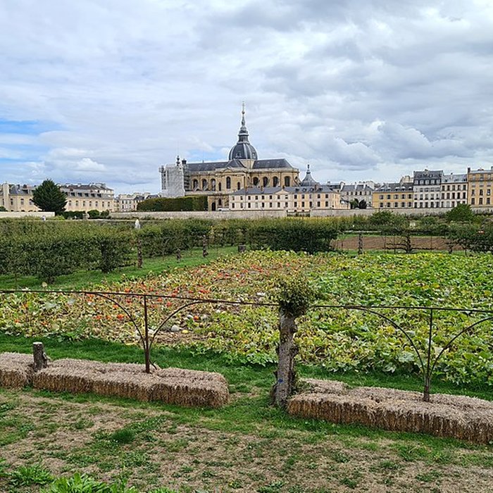 Photo de Cathédrale Saint-Louis de Versailles