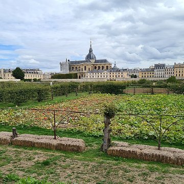 Cathédrale Saint-Louis de Versailles