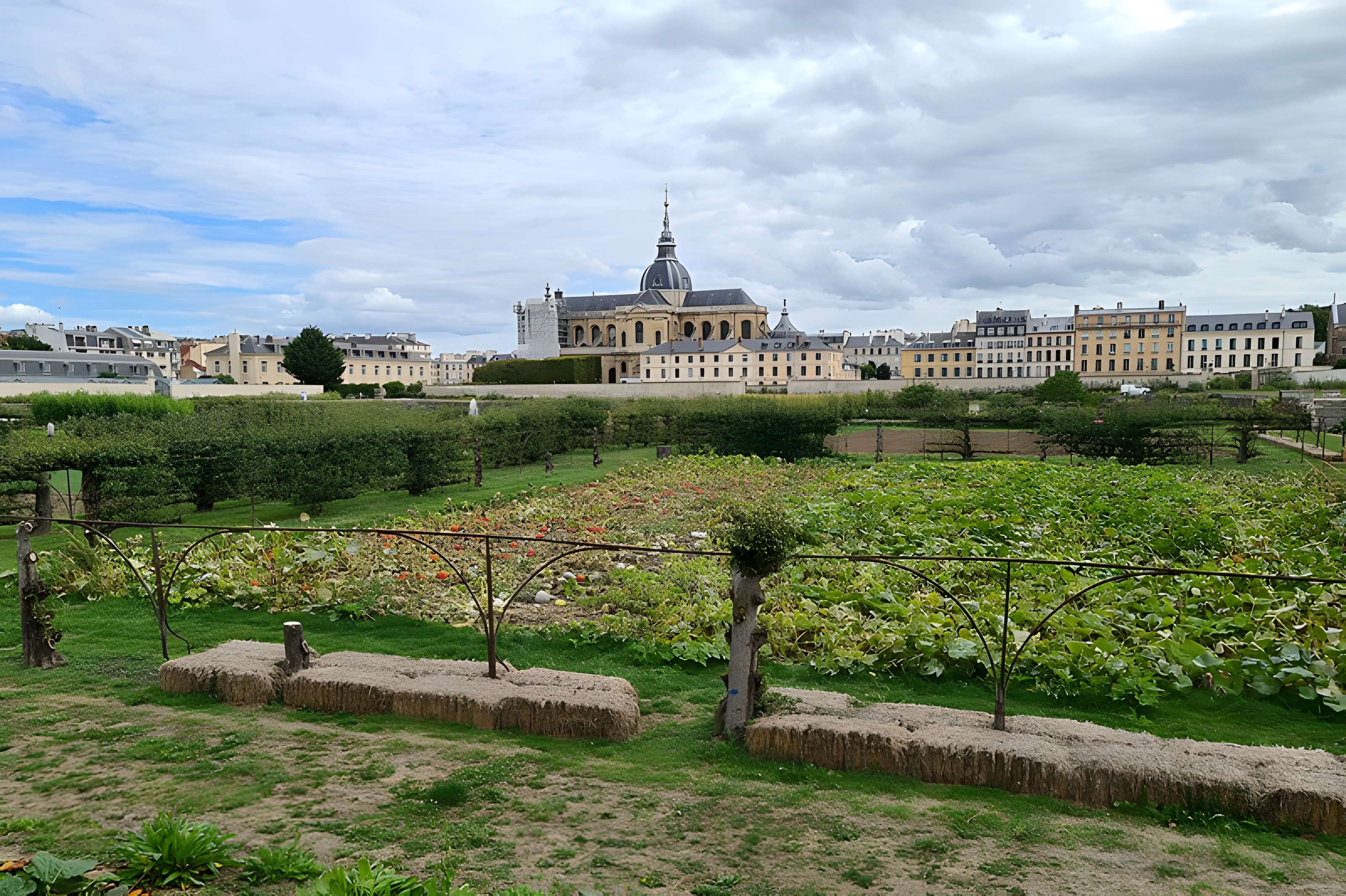 Cathédrale Saint-Louis de Versailles